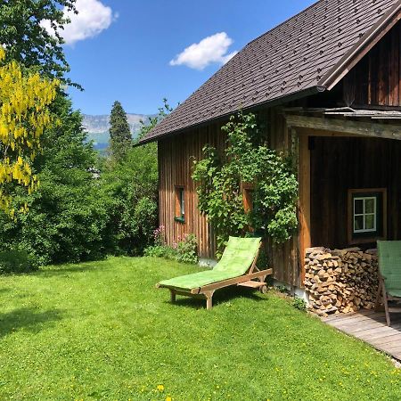 Chalet Ramsau 8 Bad Goisern Extérieur photo